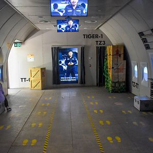 Tiger Trek - Plane Simulation