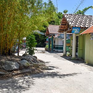 Tiger Trek - Sumatran Village