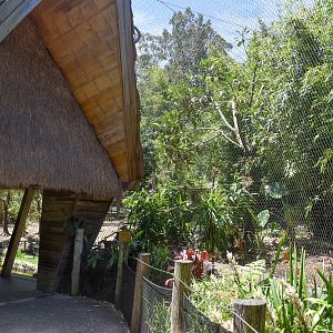 Tiger Trek - First Sumatran Tiger Enclosure
