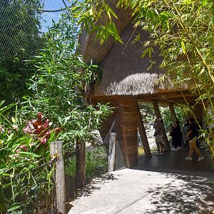 Tiger Trek - First Sumatran Tiger Enclosure