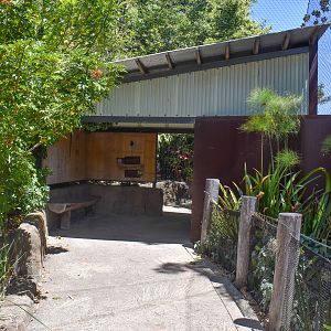 Tiger Trek - Second Sumatran Tiger Enclosure Viewing Area