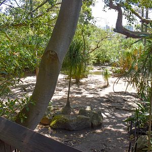 Aldabra Giant Tortoise Enclosure