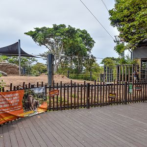 Asian Elephant Enclosure - second viewing area