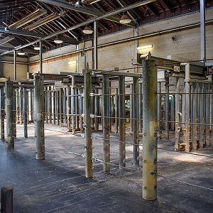 Asian Elephant Enclosure - elephant barn