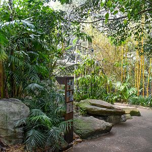 Rainforest Trail - Palm Aviary