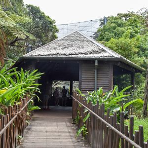 Rainforest Trail - Langur Viewing Building