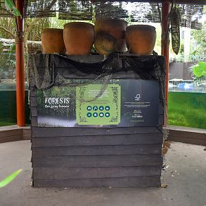 Rainforest Trail - Otter/Hippo Underwater Viewing