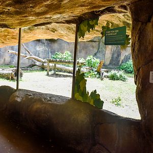 Gorilla Side Enclosure