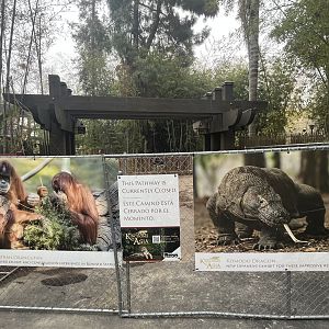 Kingdoms of Asia Construction