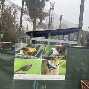 Kingdoms of Asia construction