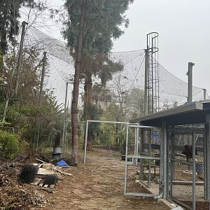 Kingdoms of Asia construction