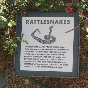 Wild Rattlesnake Signage