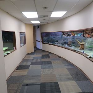 Reptile House (Main Room)