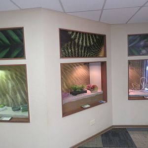Reptile House (Exit Room)
