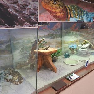 Reptile House Exhibits
