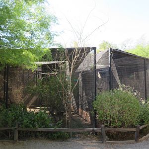 North American Aviaries
