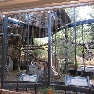 Eagle Aviary