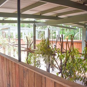 Renovated Koala Enclosure