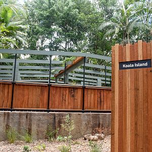 Renovated Koala Enclosure