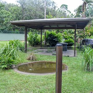Radiated/Elongated Tortoise Enclosure