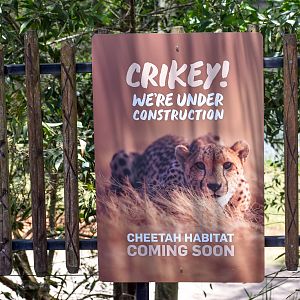 Cheetah Enclosure coming soon