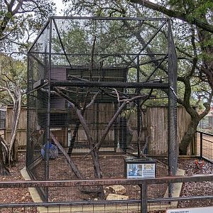 Ring tailed lemur cage