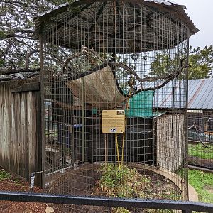 Kinkajou cage (one of 3 that I saw)