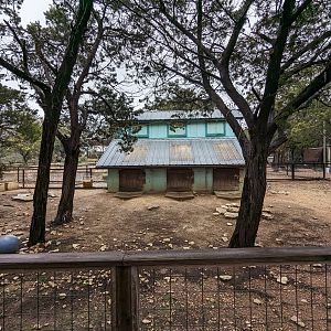 Sulcata tortoise yard and barn.