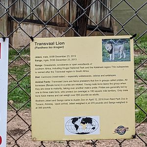 "Transvaal Lion" sign