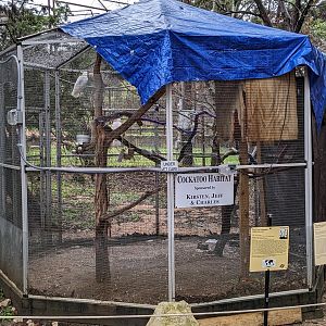 Cockatoo "habitat"