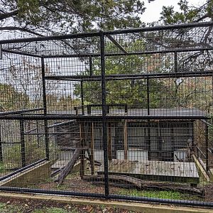 Binturong cage