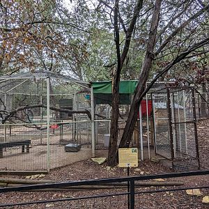 Squirrel monkey cage