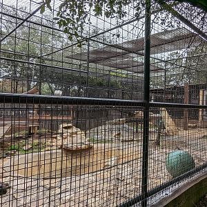 American black bear habitat