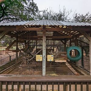 Coati cages