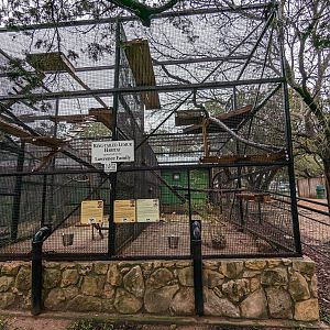 Ring tailed lemur cages in the "Primate Palace"
