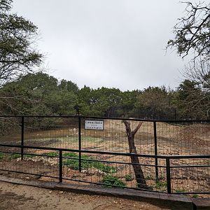 Capybara habitat