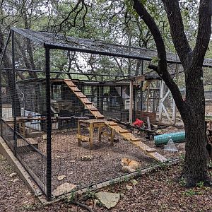 Red Fox cage #2