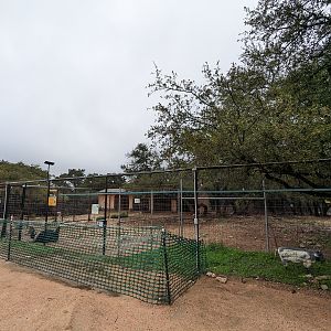 Ostrich and zebra yard