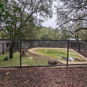 American alligator pond