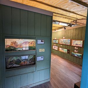 Reptile house from door.