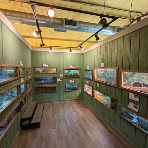 Reptile house view from front towards back