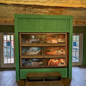 Reptile house view towards doors.