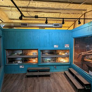 Reptile house second side view from doors.