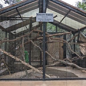 Another Kinkajou cage