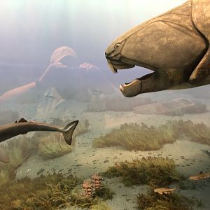 Hall of Ancient Life