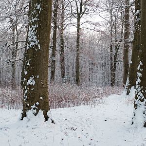 Tierpark Lübeck - Now all gone