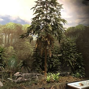 Hall of Ancient Life