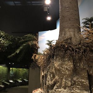 Hall of Ancient Life