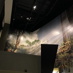 Hall of Ancient Life