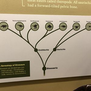 Hall of Ancient Life